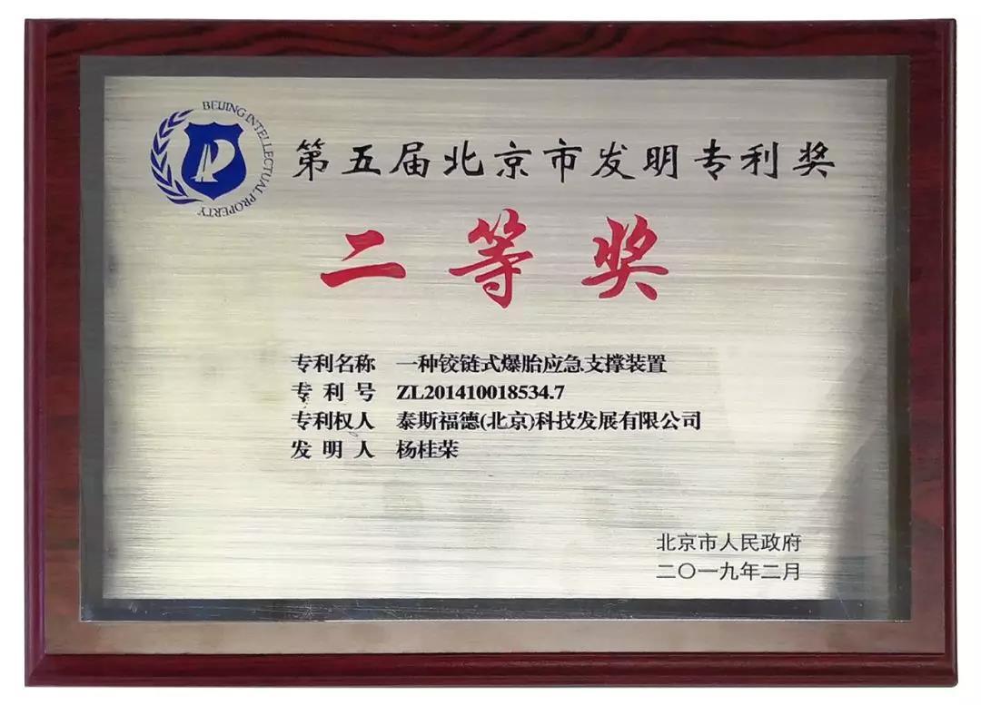 泰斯福德参加北京2019年知识产权工作会 泰斯福德参加北京2019年知识产权工作会
