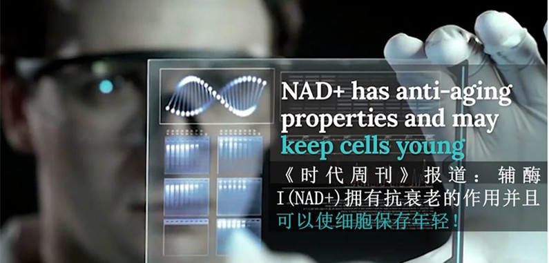 NMN中国:“长寿药”NMN,你想知道的都在这里 NMN中国:“长寿药”NMN,你想知道的都在这里