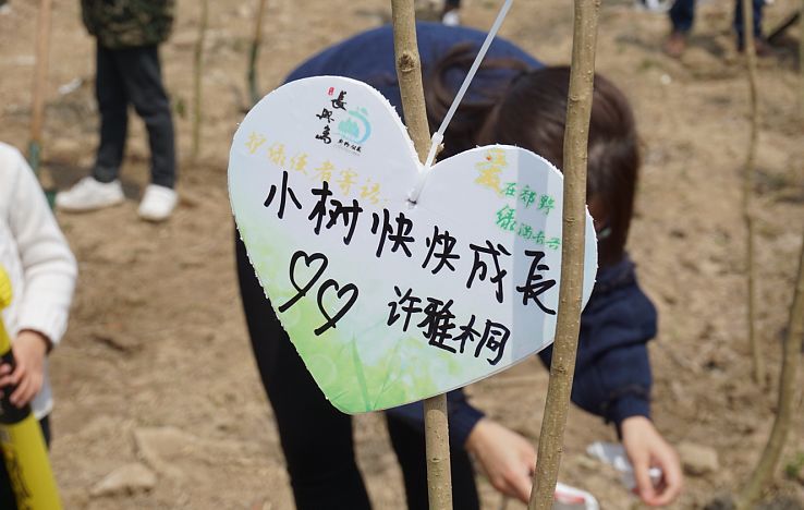 条儿要新,苗儿要青!“2019中威百万森林计划”上海站圆满结束 条儿要新,苗儿要青!“2019中威百万森林计划”上海站圆满结束
