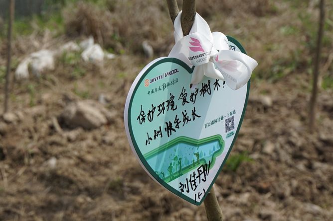 条儿要新,苗儿要青!“2019中威百万森林计划”上海站圆满结束 条儿要新,苗儿要青!“2019中威百万森林计划”上海站圆满结束