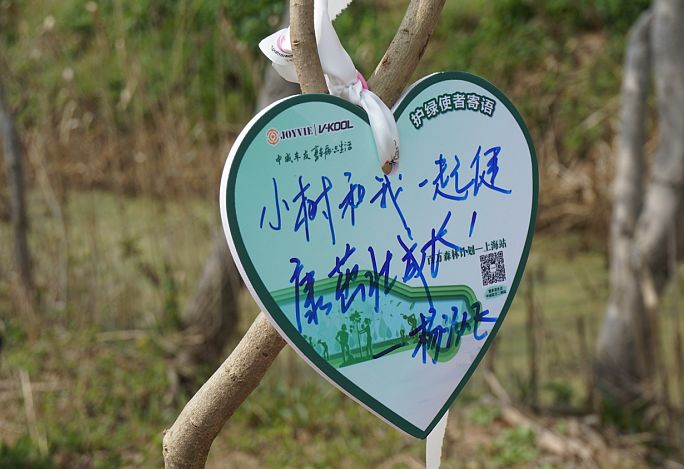 条儿要新,苗儿要青!“2019中威百万森林计划”上海站圆满结束 条儿要新,苗儿要青!“2019中威百万森林计划”上海站圆满结束