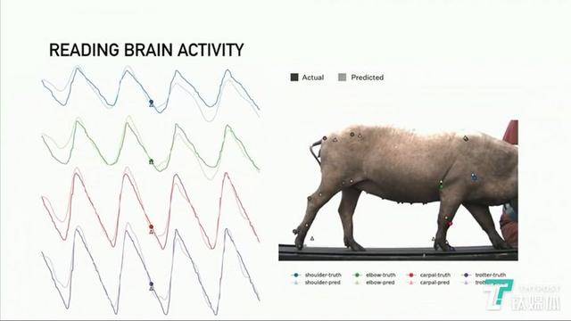 “硬币”1小时内植入三只猪脑,造完火箭的马斯克又发布黑科技 “硬币”1小时内植入三只猪脑,造完火箭的马斯克又发布黑科技