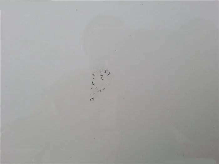 这“玩(niao)意(fen)”,给了我“当头一棒” 这“玩(niao)意(fen)”,给了我“当头一棒”