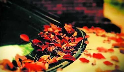 这“玩(niao)意(fen)”,给了我“当头一棒” 这“玩(niao)意(fen)”,给了我“当头一棒”