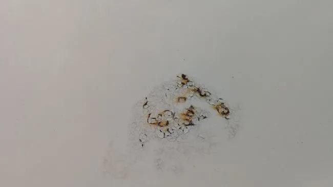 这“玩(niao)意(fen)”,给了我“当头一棒” 这“玩(niao)意(fen)”,给了我“当头一棒”