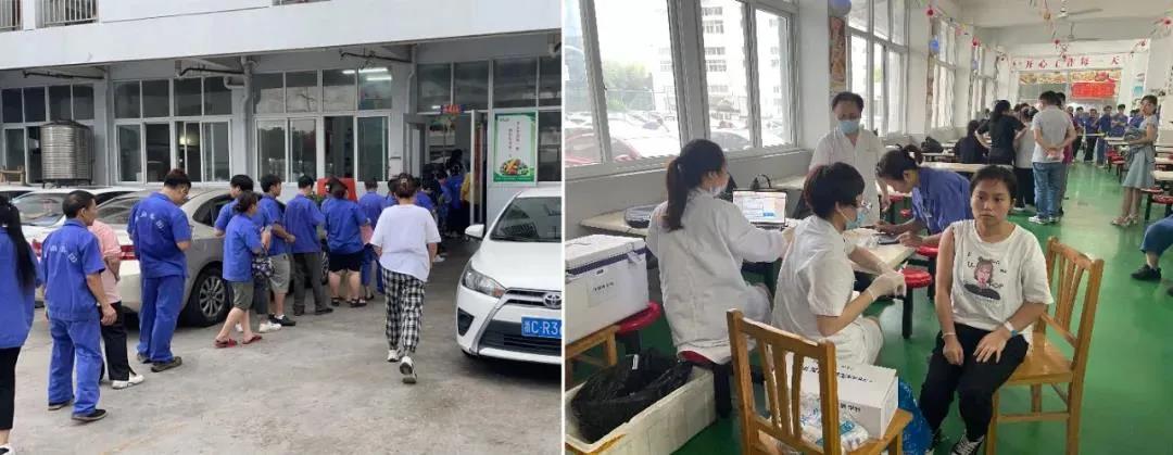 环球滤清器献爱心 助力罗凤疫苗接种工作 环球滤清器献爱心 助力罗凤疫苗接种工作