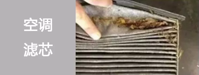 疫情之下的汽车消毒 做到这几点很重要! 疫情之下的汽车消毒 做到这几点很重要!