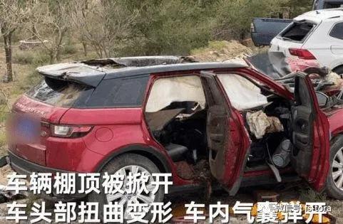 乘车撞上骆驼,知名演员重伤身亡,开车撞到动物为什么更危险? 乘车撞上骆驼,知名演员重伤身亡,开车撞到动物为什么更危险?