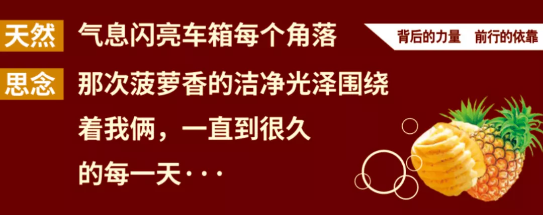 卫斯理菠萝香表板蜡「卫斯理新品推荐」 卫斯理菠萝香表板蜡「卫斯理新品推荐」