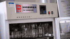 香百年·香韵 | 立于行业之巅,与东方文明并行! 香百年·香韵 | 立于行业之巅,与东方文明并行!
