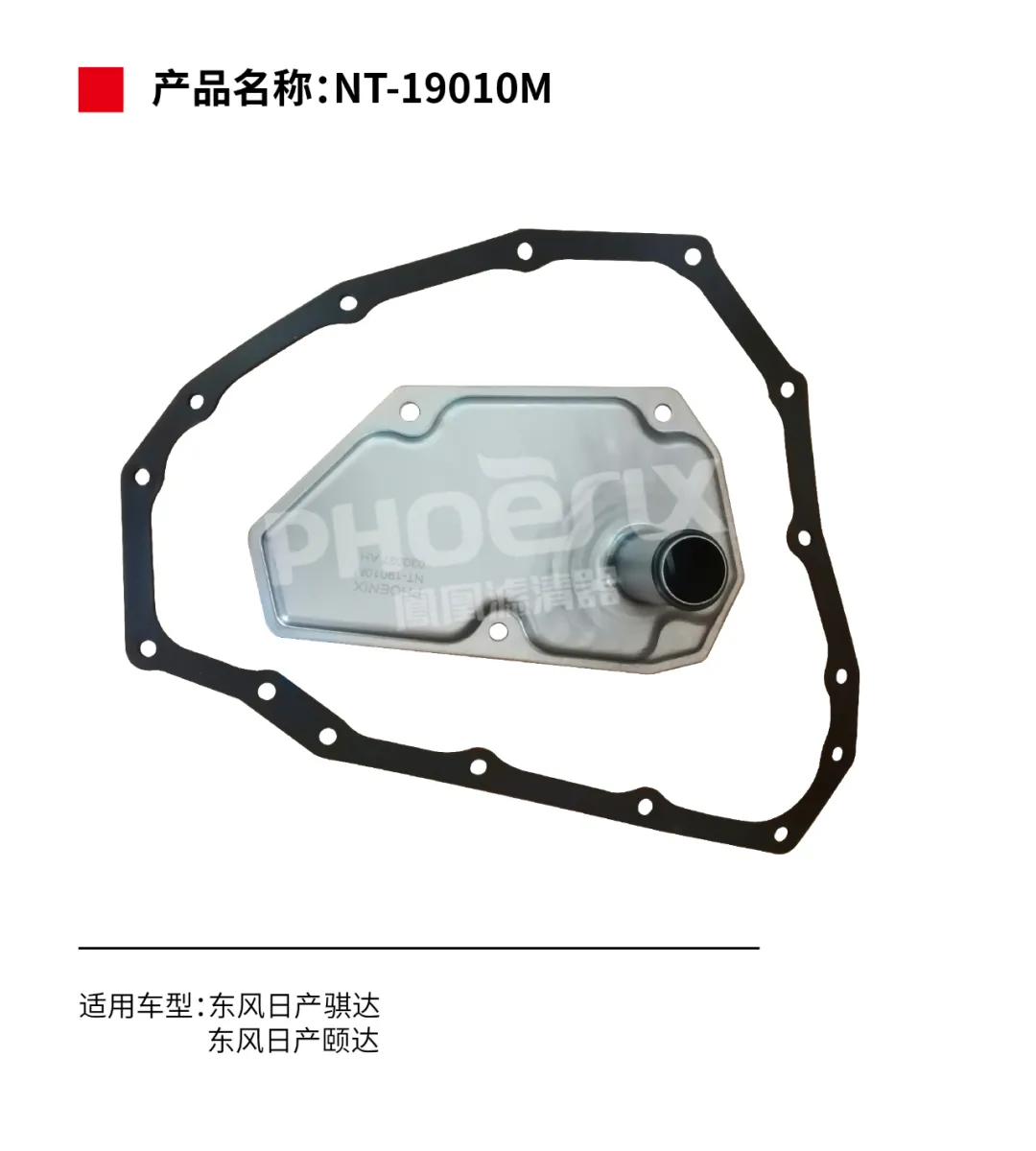 凤凰滤清器十月新品上市