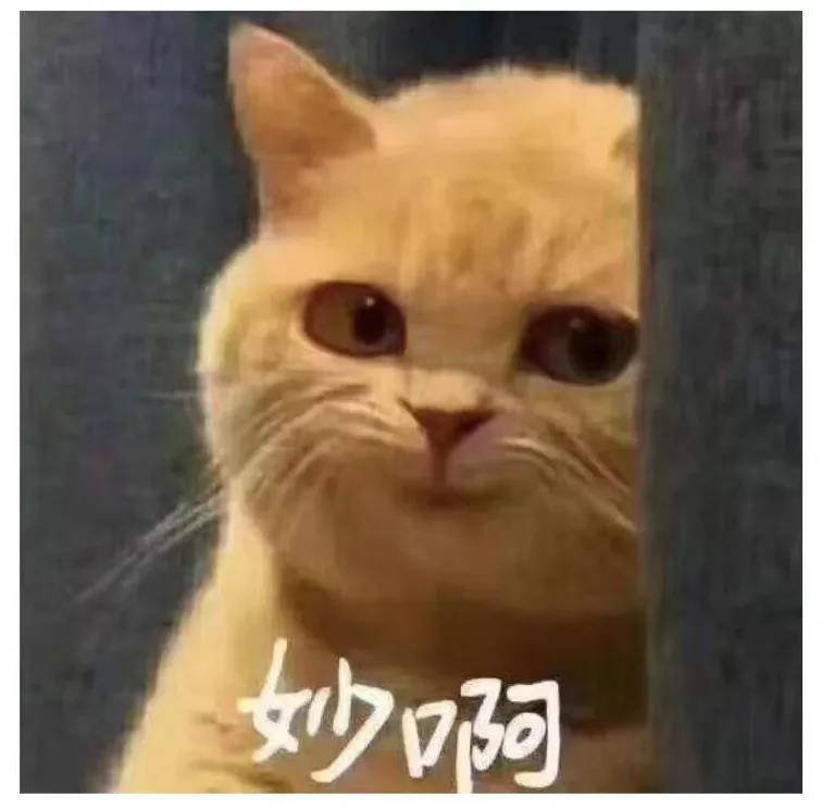 慧聪说:2022回馈新老客户赚钱攻略来了! 慧聪说:2022回馈新老客户赚钱攻略来了!