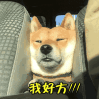 铁将军:轮胎多久打一次气?看完这个你就明白了 铁将军:轮胎多久打一次气?看完这个你就明白了