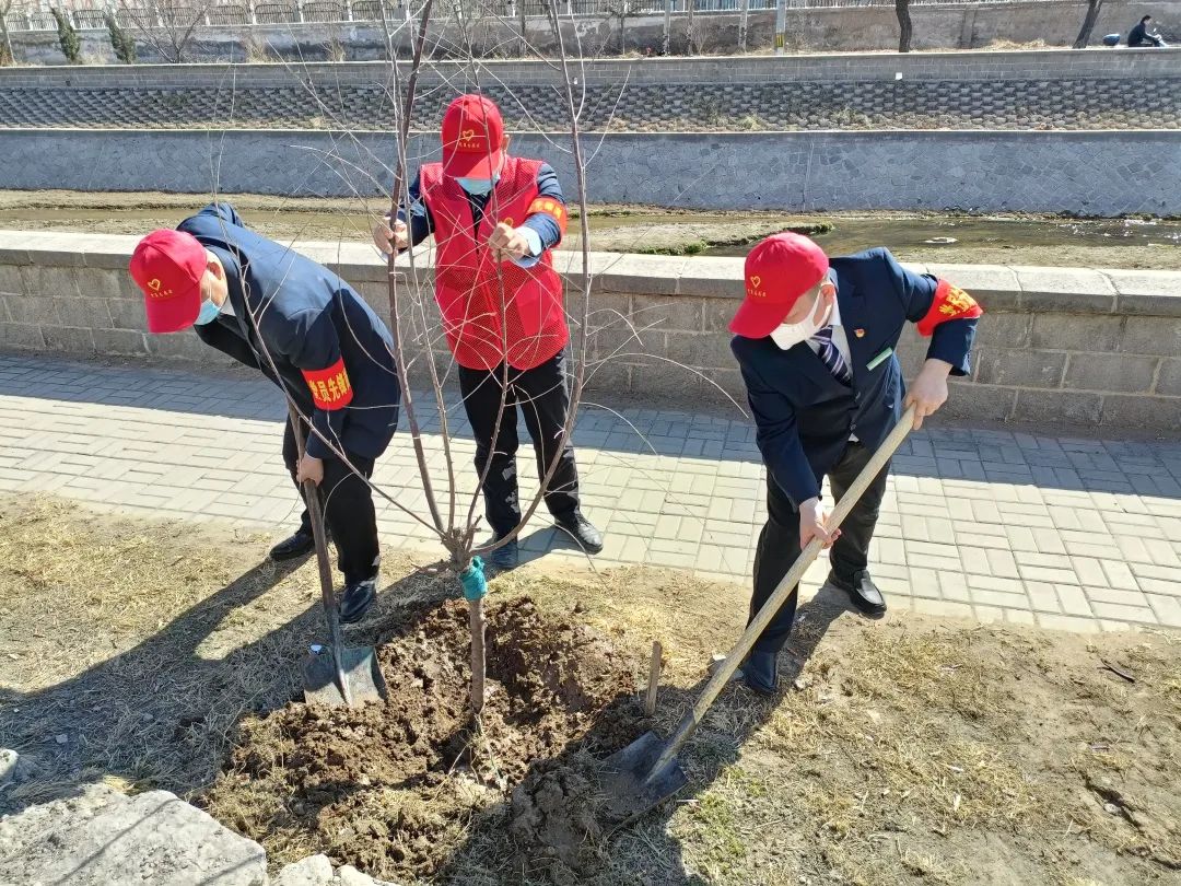 党建引领，增“绿”添彩——五方天雅党支部组织党员进行植树活动
