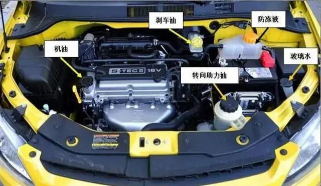 电动车、燃油车和混动车,哪种车型养护费用最高? 电动车、燃油车和混动车,哪种车型养护费用最高?