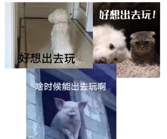 告别21世纪赛博朋克式打猎,我们为您准备了一份疫情囤货指南... 告别21世纪赛博朋克式打猎,我们为您准备了一份疫情囤货指南...
