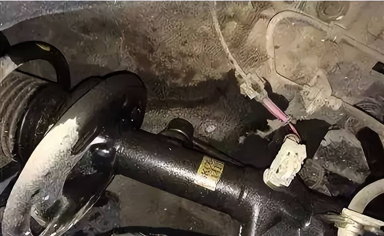 不换就“要命”?汽车减震器真的有使用极限吗? 不换就“要命”?汽车减震器真的有使用极限吗?