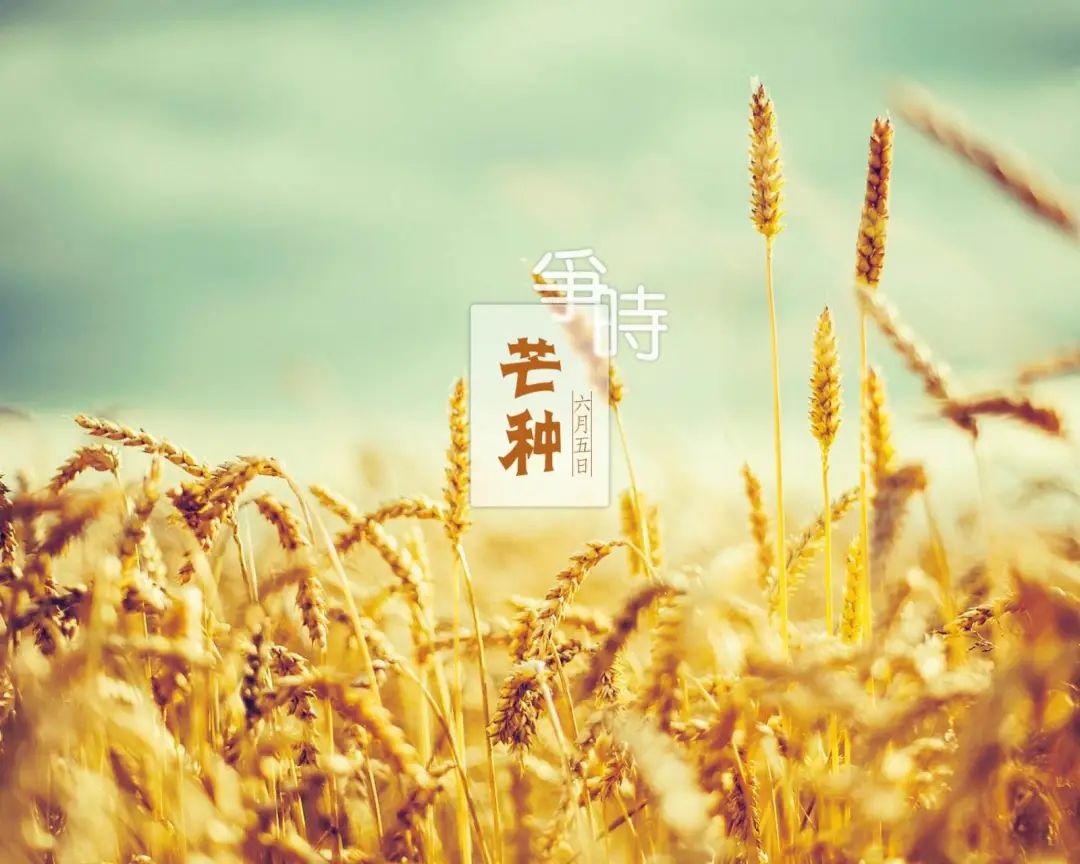 极配正品丨播种当下,幸福未来 极配正品丨播种当下,幸福未来