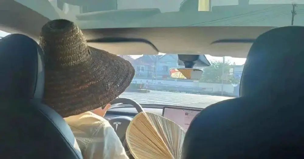 新品上市丨往后余生,无需为天窗浇水降温…… 新品上市丨往后余生,无需为天窗浇水降温……