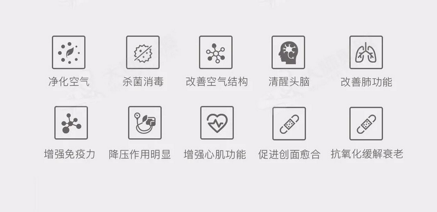 大师贴膜:这款膜,闭着眼贴都不会错! 大师贴膜:这款膜,闭着眼贴都不会错!