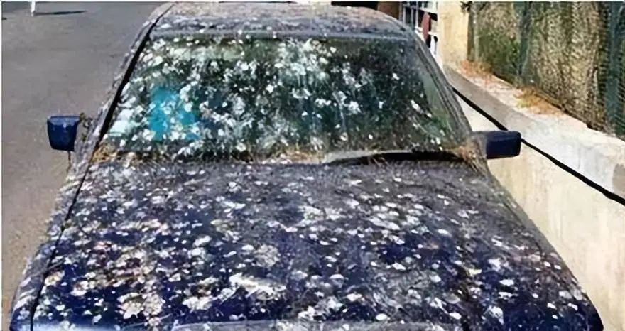 关于隐形车衣 这些小细节你都知道吗? 关于隐形车衣 这些小细节你都知道吗?