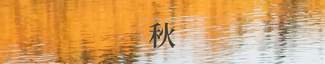 大师彩绘丨把秋天贴上车是一种什么体验? 大师彩绘丨把秋天贴上车是一种什么体验?