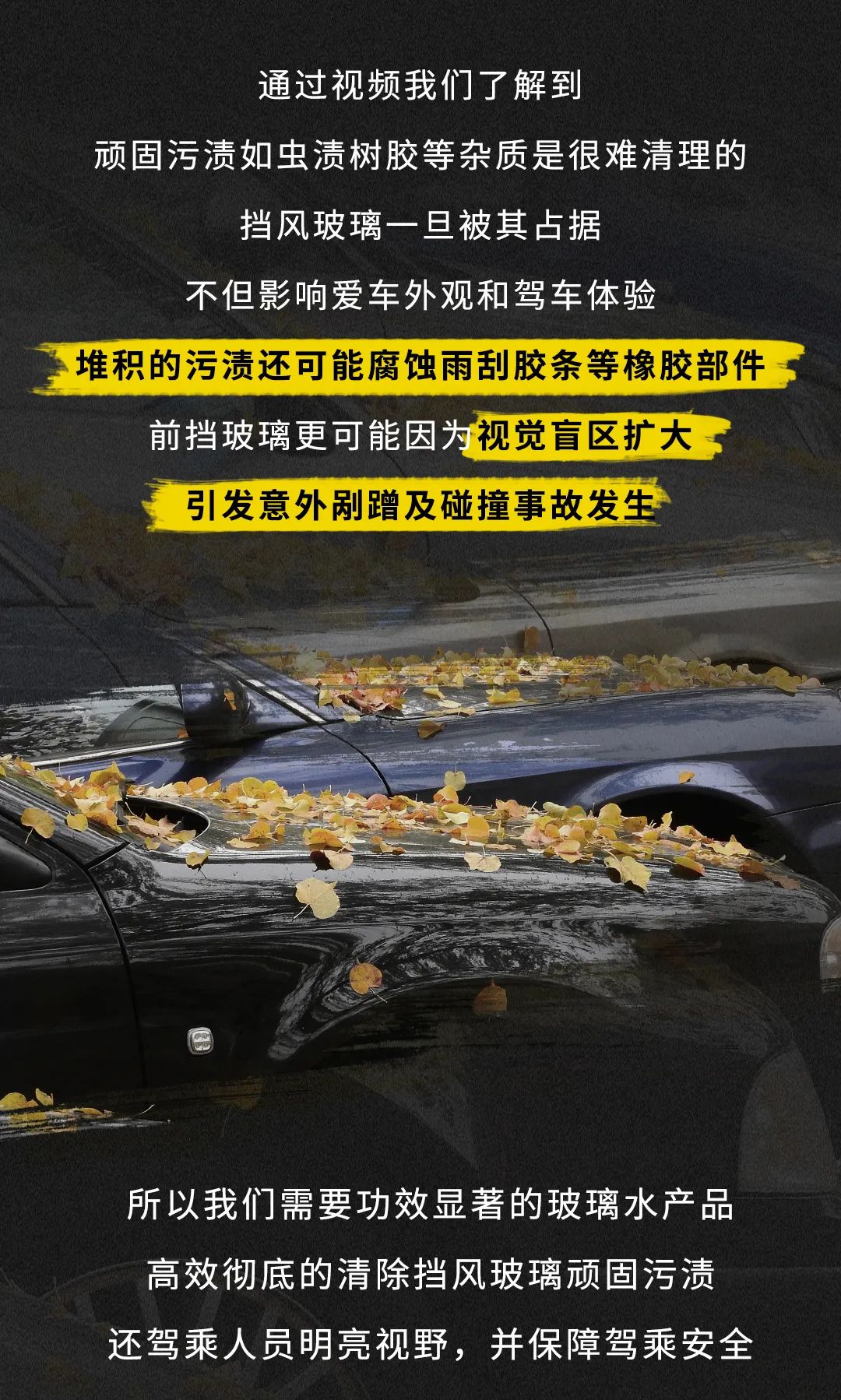 养车聊天室：如何做到“四季美好，一路畅览”？