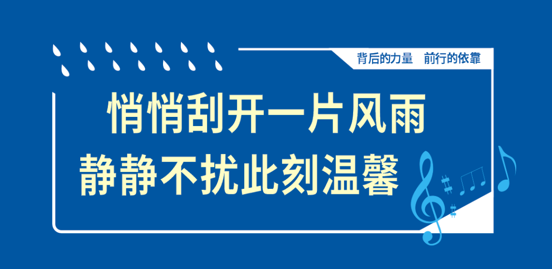 卫斯理除油膜浓缩雨刷精,精品养车不可错过! 卫斯理除油膜浓缩雨刷精,精品养车不可错过!