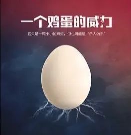 大师贴膜:别让“危险”从天而降! 大师贴膜:别让“危险”从天而降!