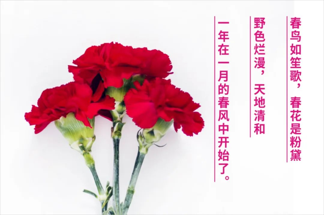 卫斯理1月员工生日汇，真诚祝愿，美妙一月