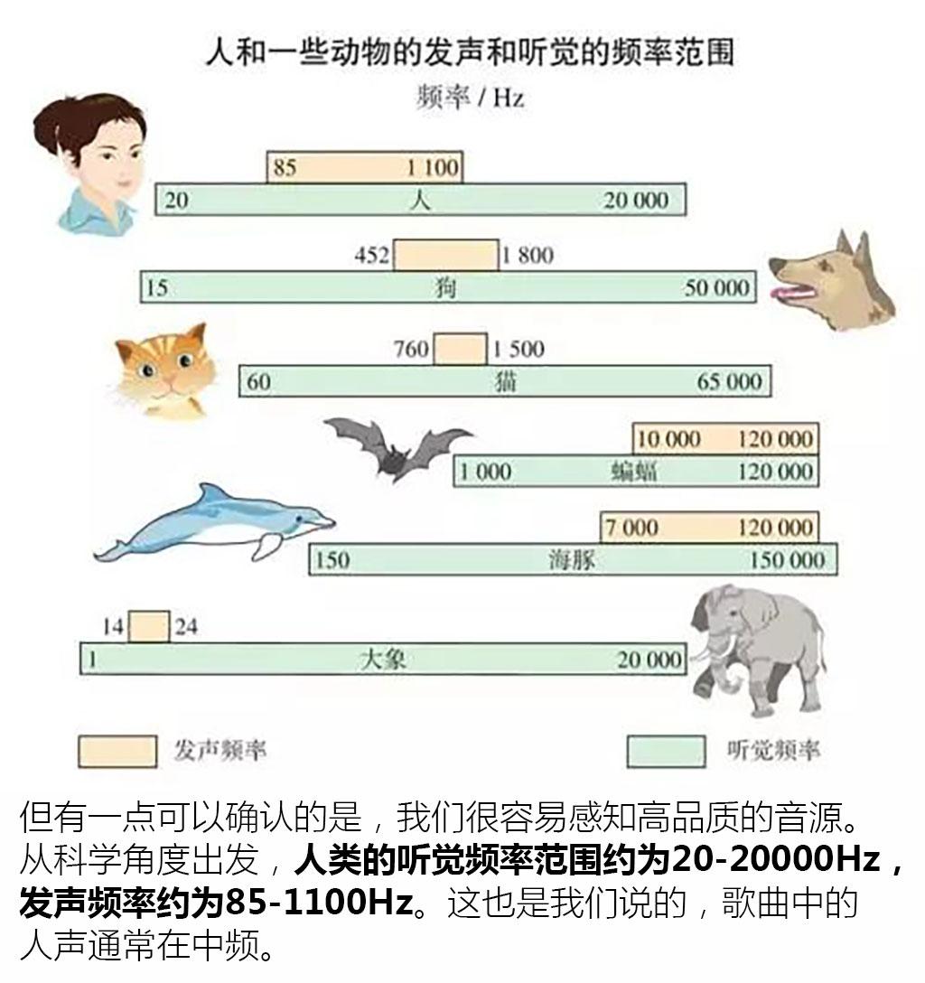 从入门到劝退 汽车音响升级思路全解析 从入门到劝退 汽车音响升级思路全解析
