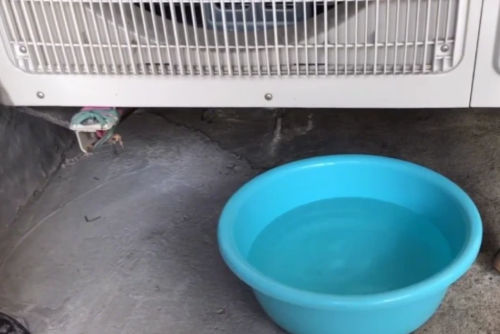 夏天用空调冷凝水洗车行不行? 夏天用空调冷凝水洗车行不行?