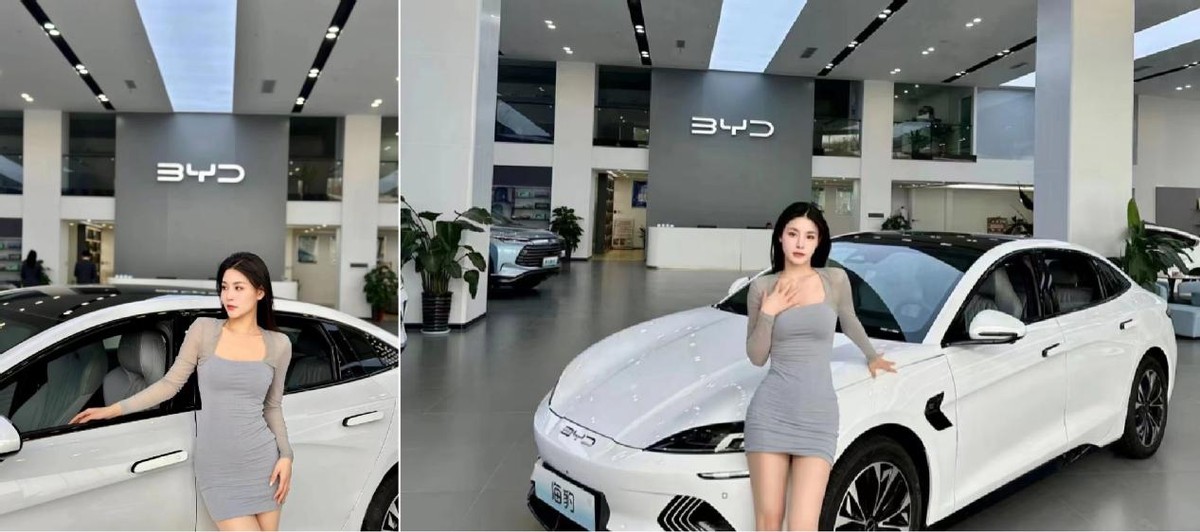 云达电动音响进入比亚迪4S集团体系 南京弘迪热卖 云达电动音响进入比亚迪4S集团体系 南京弘迪热卖