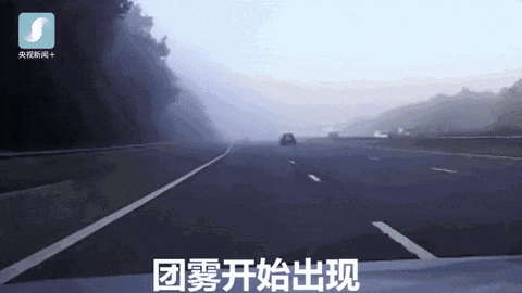 高速上遇到大雾怎么办?“雾”不听劝真的能要命! 高速上遇到大雾怎么办?“雾”不听劝真的能要命!