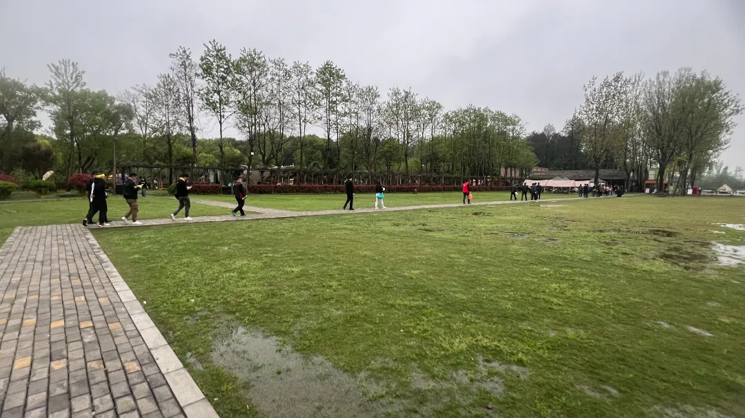 春色阑珊四月天|2024年杰特熙(JTC)青浦大千天鹅湖团建精彩回顾 春色阑珊四月天|2024年杰特熙(JTC)青浦大千天鹅湖团建精彩回顾
