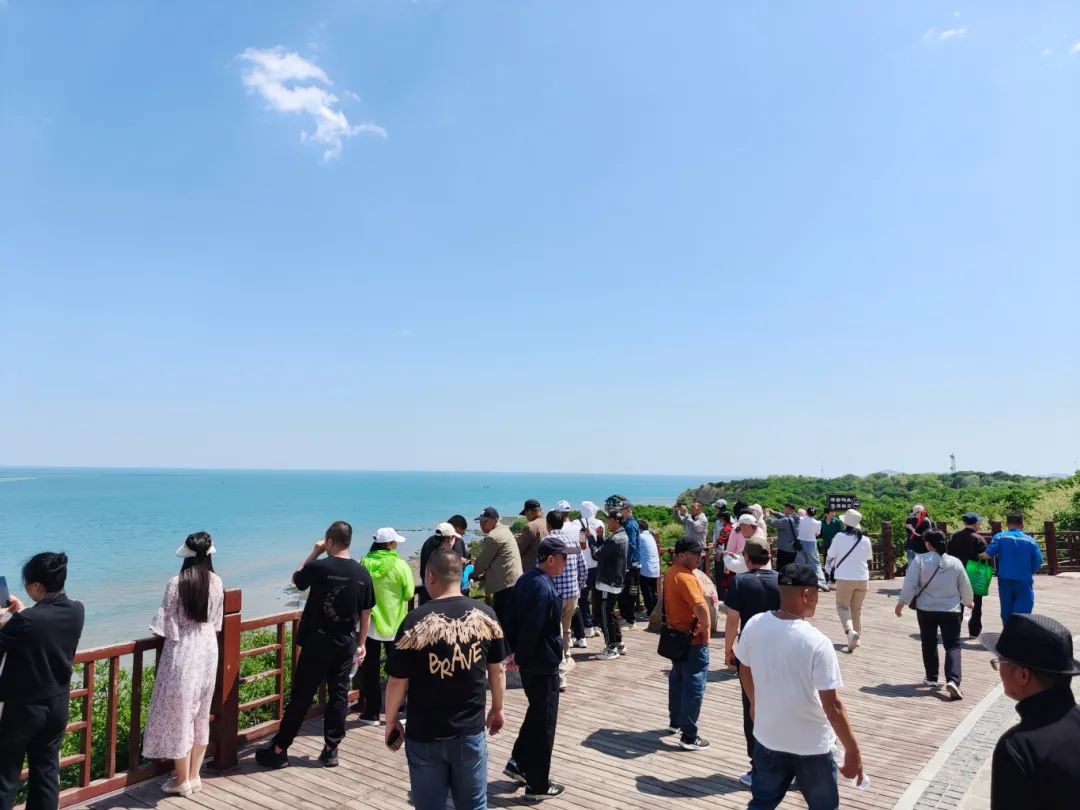初夏时节 感受海风 2024五方天雅团建葫芦岛之行圆满完成 初夏时节 感受海风 2024五方天雅团建葫芦岛之行圆满完成