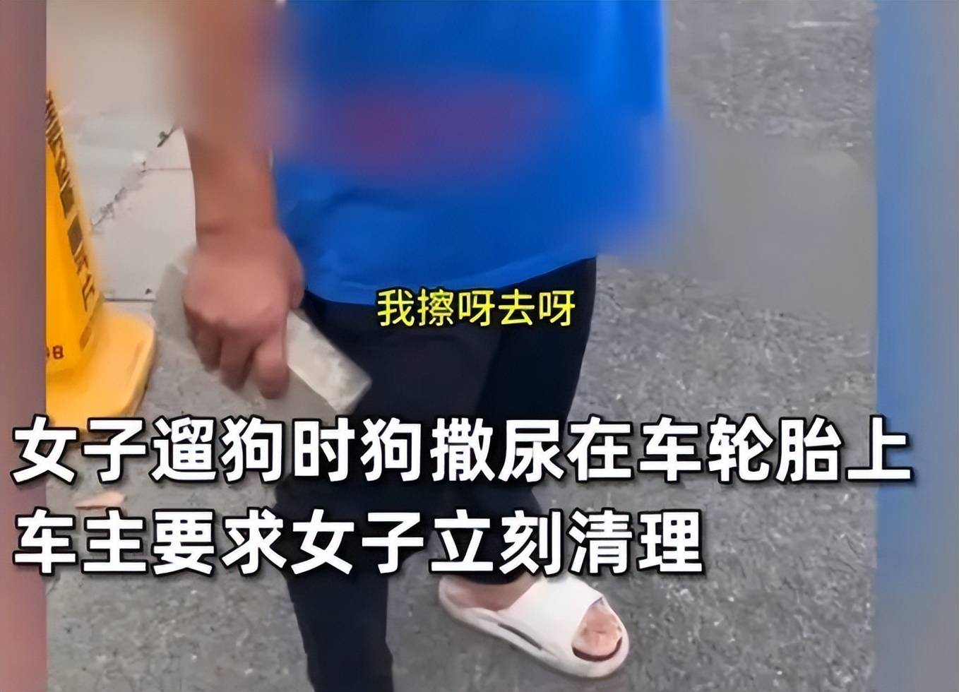 车主怒砸乱撒尿宠物狗事件:狗尿不会腐蚀轮胎但闻多了会污染人性 车主怒砸乱撒尿宠物狗事件:狗尿不会腐蚀轮胎但闻多了会污染人性