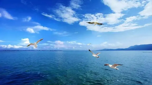 CARpel车身防护:适合冬季旅游的热门城市 CARpel车身防护:适合冬季旅游的热门城市