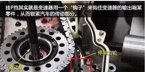注意,等红灯不能挂P档? 注意,等红灯不能挂P档?