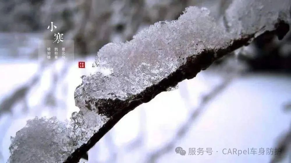 CARpel:小寒至,冬深处,盼春归 CARpel:小寒至,冬深处,盼春归