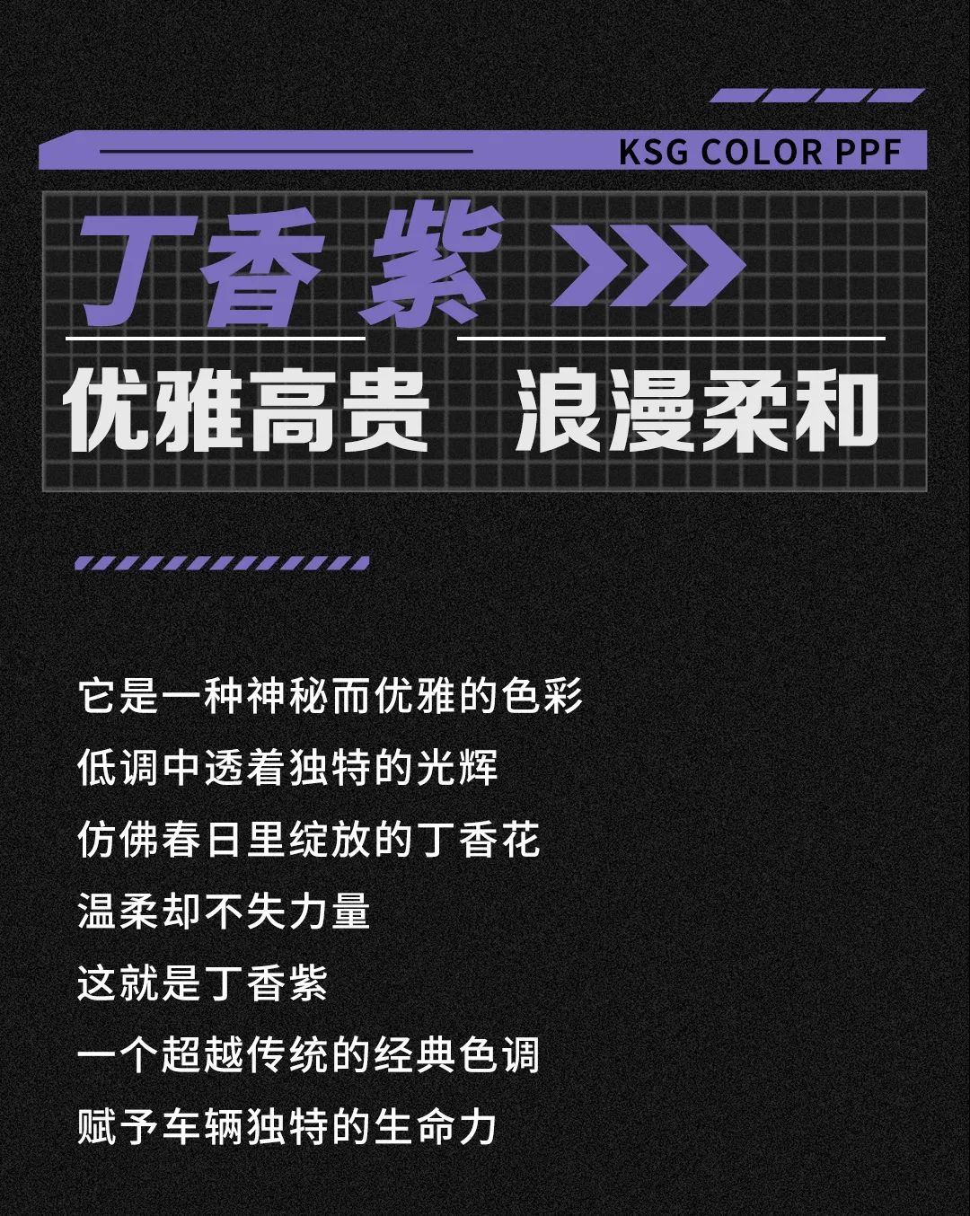 经典与现代的交融，丁香紫开启优雅新篇章！