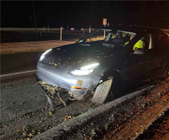 美国车友称特斯拉FSD撞车:弯道不减速 美国车友称特斯拉FSD撞车:弯道不减速