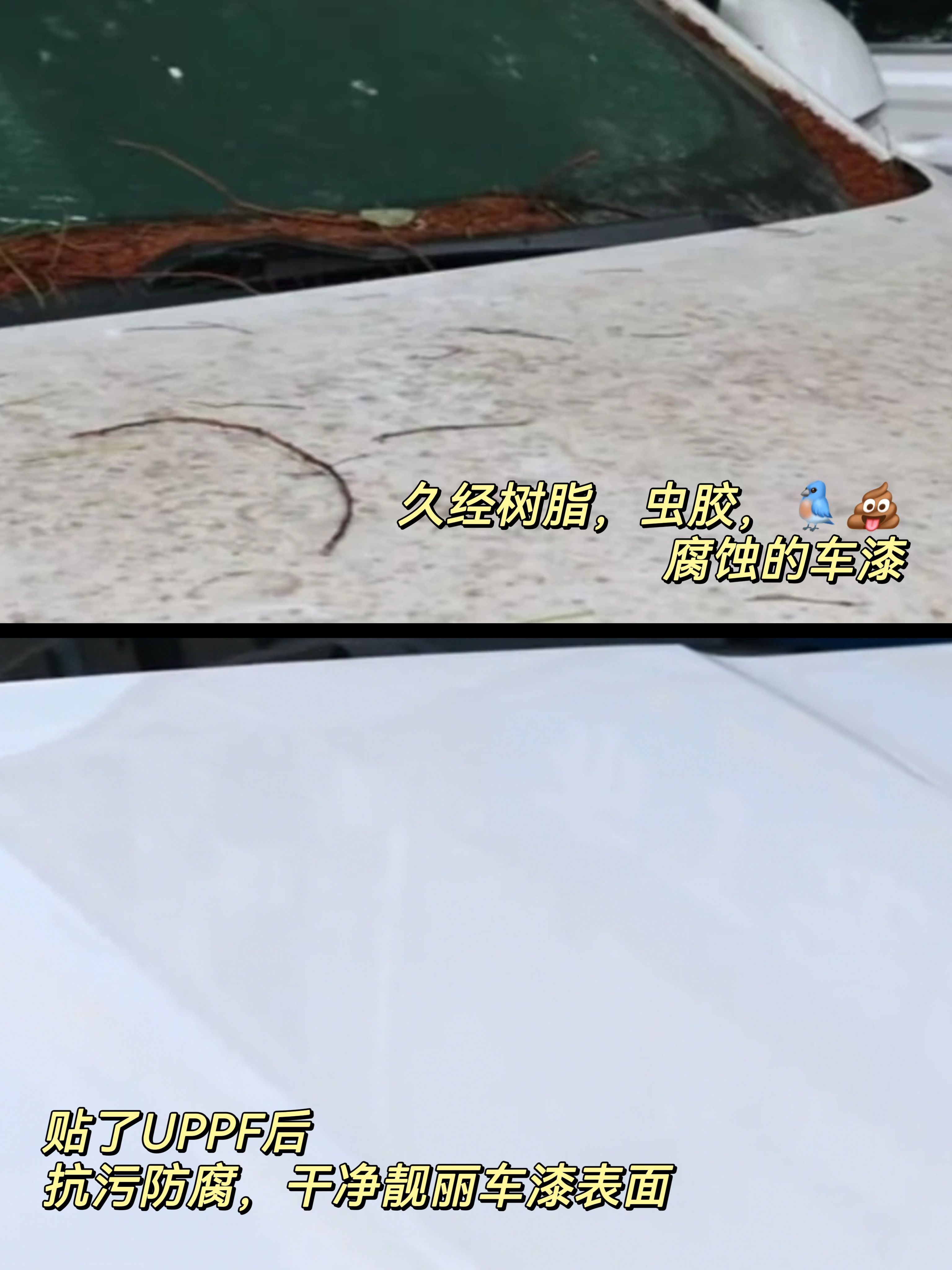 隐形车衣是智商税?13年国产车衣品牌说 隐形车衣是智商税?13年国产车衣品牌说